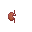 Thumbnail for version as of 17:15, 14 December 2024